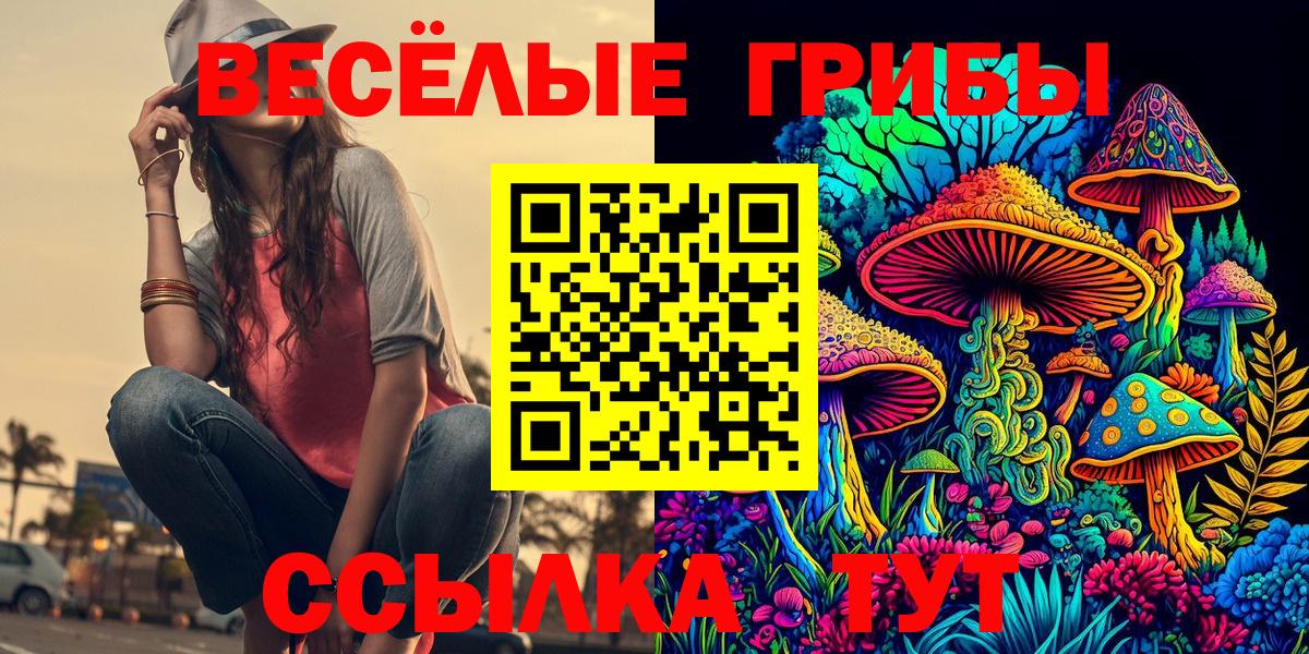 Псилоцибиновые грибы прущие грибы Крымск