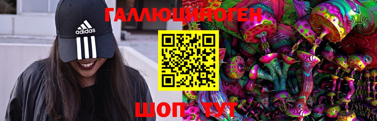 Галлюциногенные грибы GOLDEN TEACHER  Вход с VPN  Крымск 